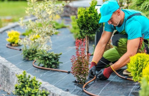 Gartenpflege und Unkrautbeseitigung