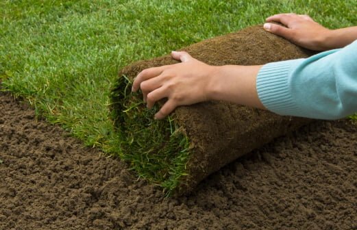 Rasenneuanlage: So gelingt der perfekte Rasen – Inspiration & Tipps